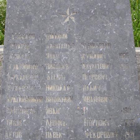 Братская могила в с. Анисов Черниговского района Черниговской обл.