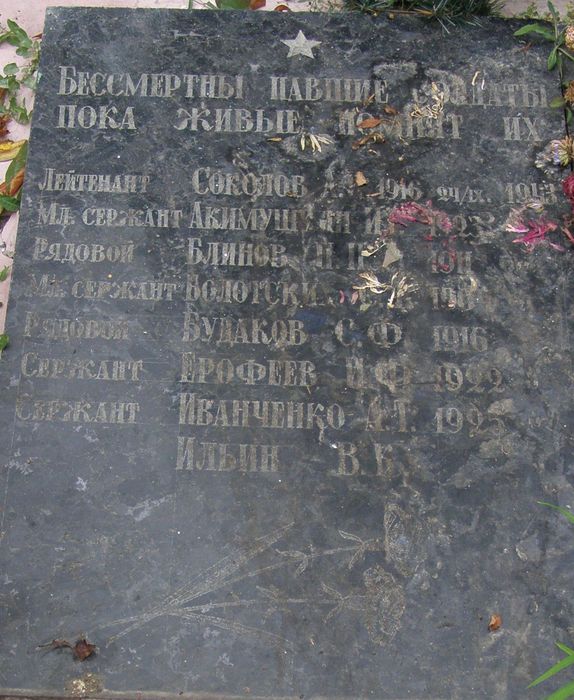 с. Жукотки Черниговского района Черниговской области, Братская могила Воинов ВОВ