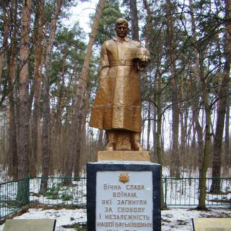 Братская могила в с. Дмитровка Фастовского района
