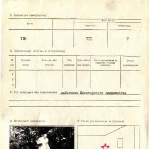 Братская могила в с. Радивоновка Акимовского района