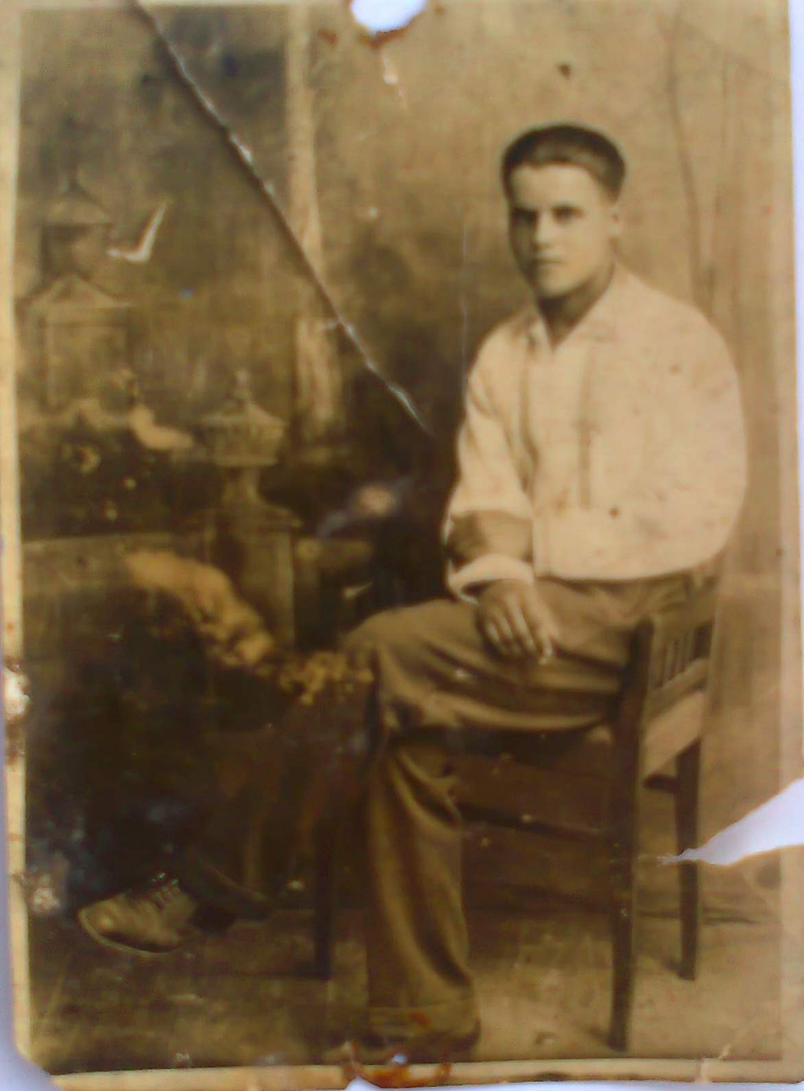 Огородник Виктор Иванович