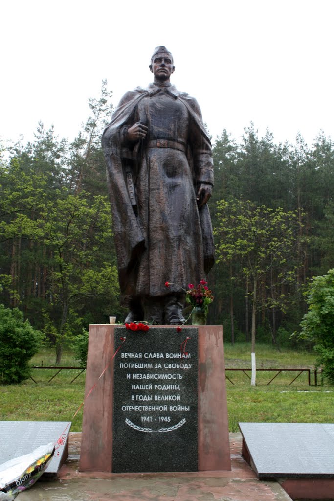 Братская могила в с. Лебедевка Вышгородского района