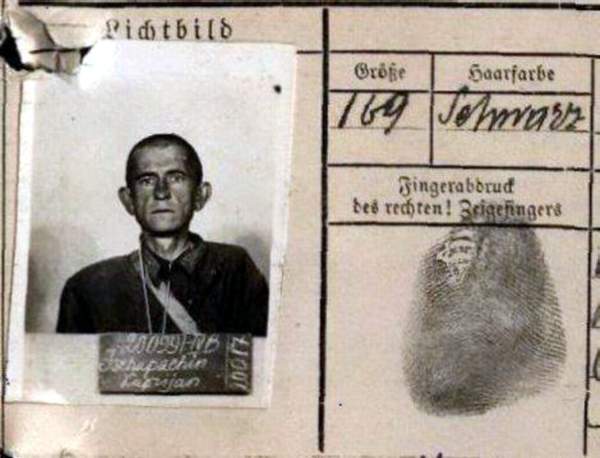 Чупахин Куприян Викторович