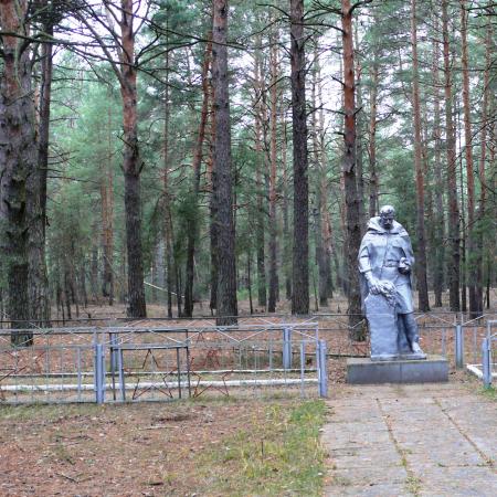 Братская могила в лесу за фермой в с. Низшая Дубечня Вышгородского района