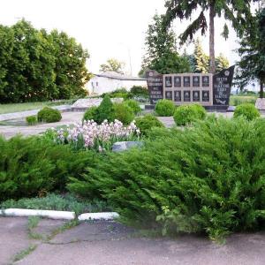 Братская могила в центре г. Борзна Черниговской обл. 