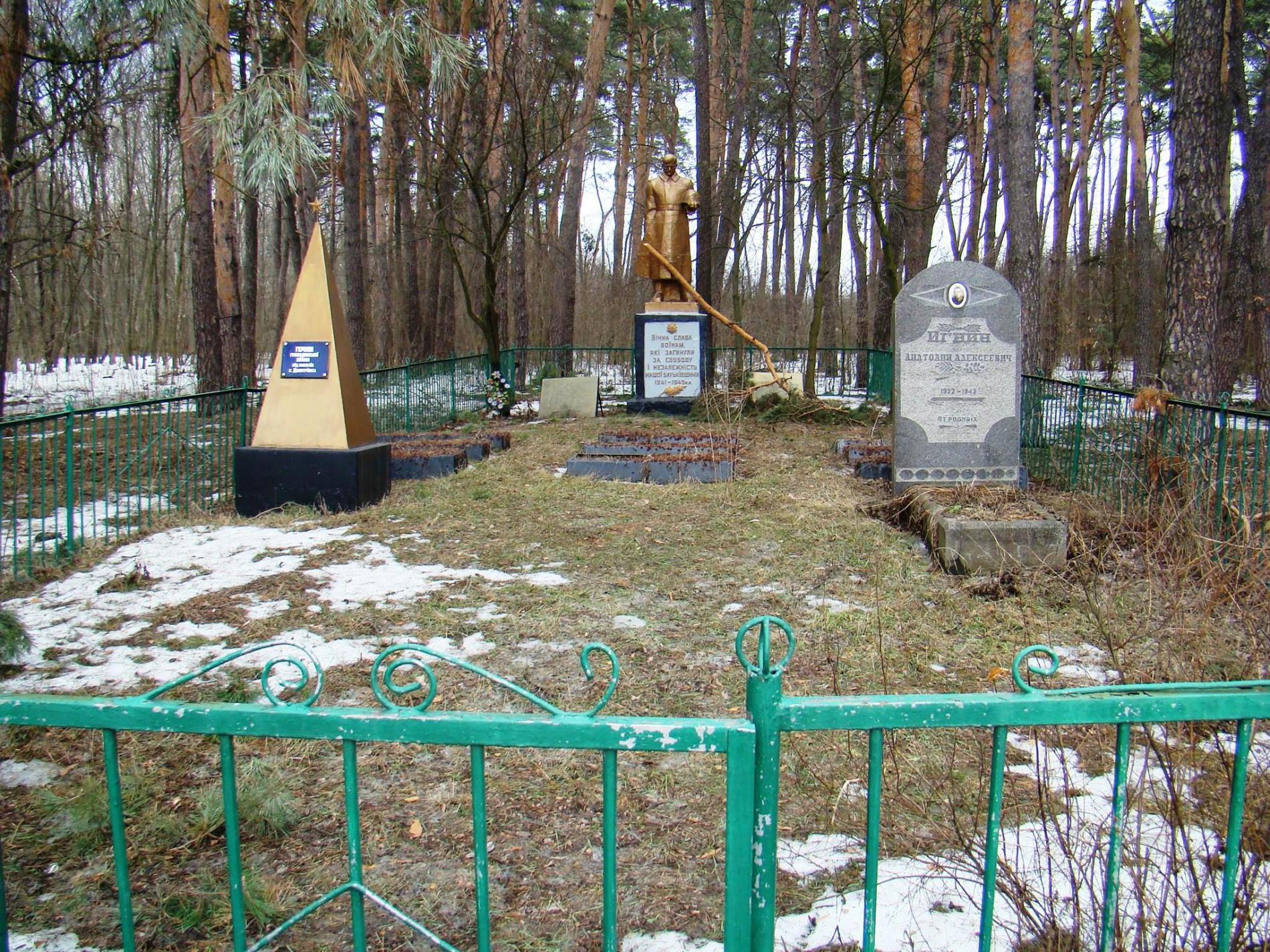 Братская могила в с. Дмитровка Фастовского района