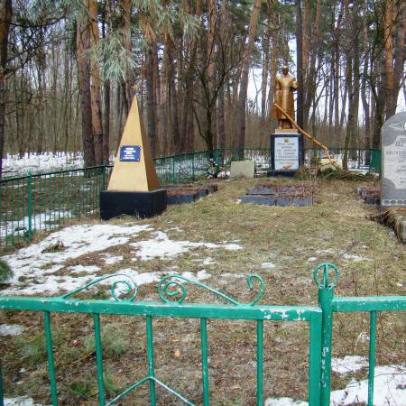 Братская могила в с. Дмитровка Фастовского района