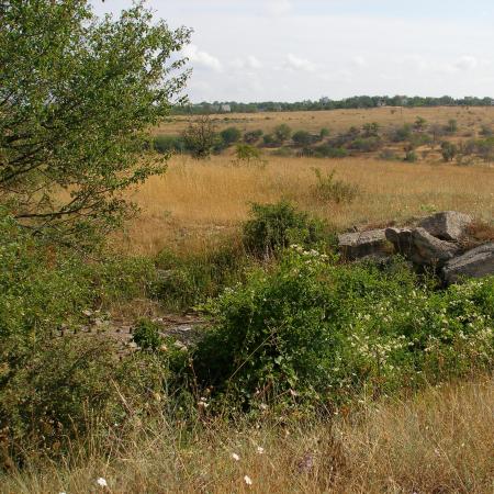 Батарея СОРа 705\116
