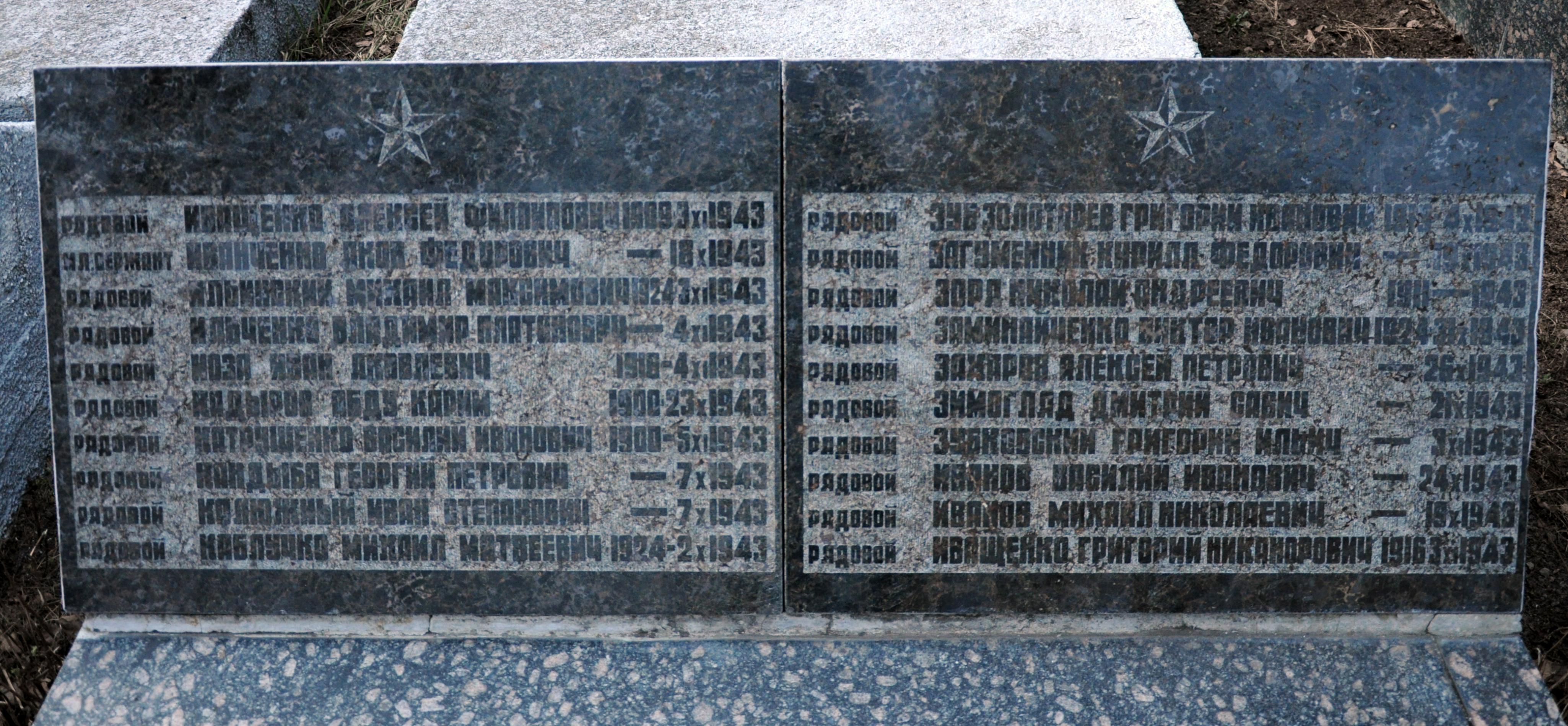 Братская могила в с. Новые Петровцы Вышгородского района