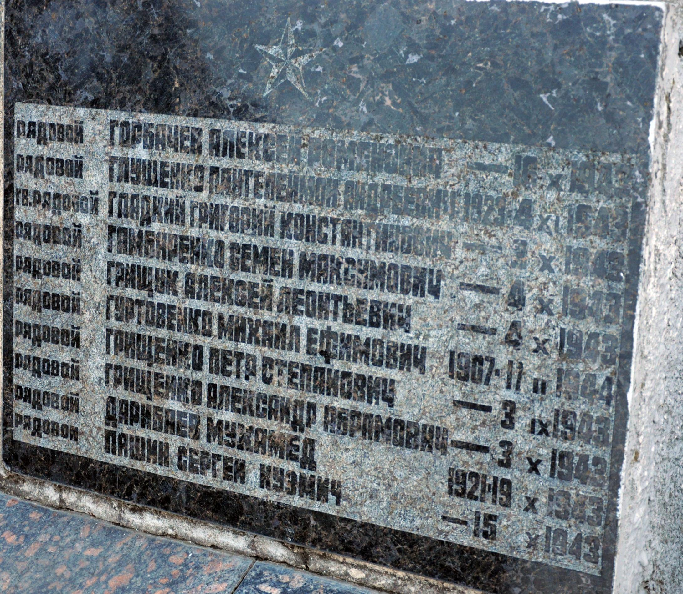 Братская могила в с. Новые Петровцы Вышгородского района