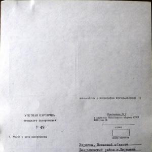 Братская могила у дороги на Барышевку