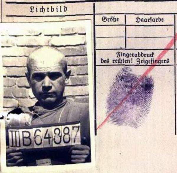 Ляшов Анатолий Давидович