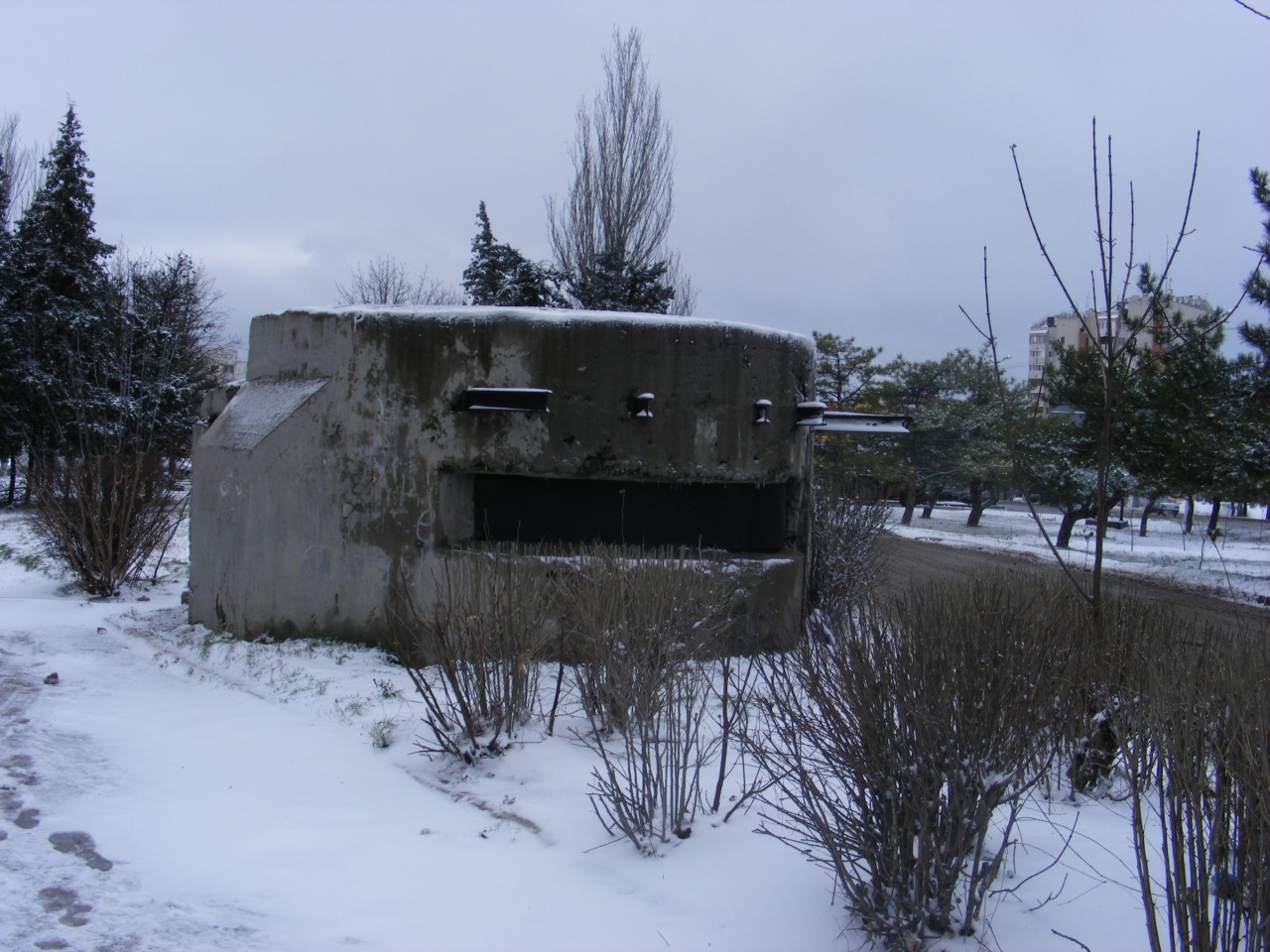 ДОТ №31