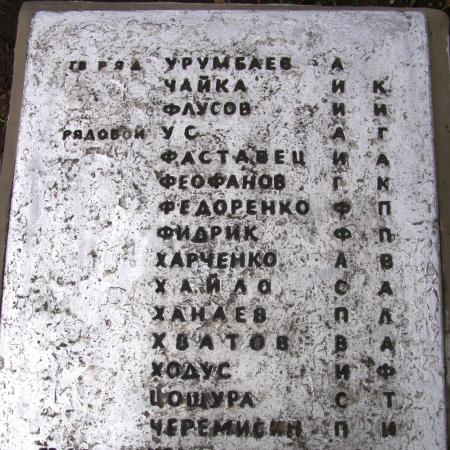 Братская могила в с. Катещино Томаковского района