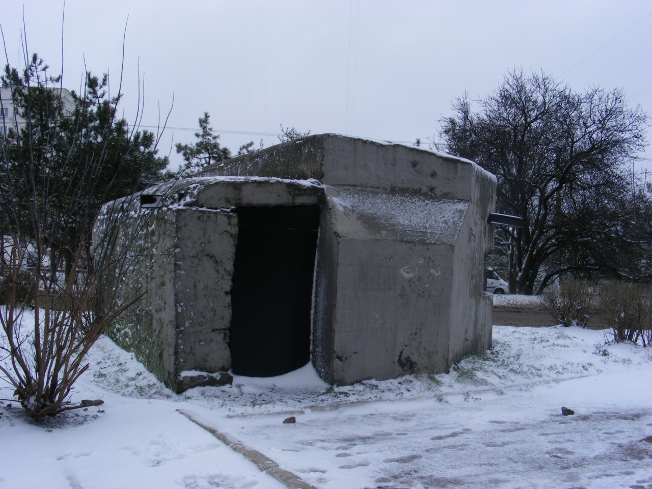 ДОТ №31