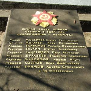 Братская могила в с. Федоровка Великоновоселковского района