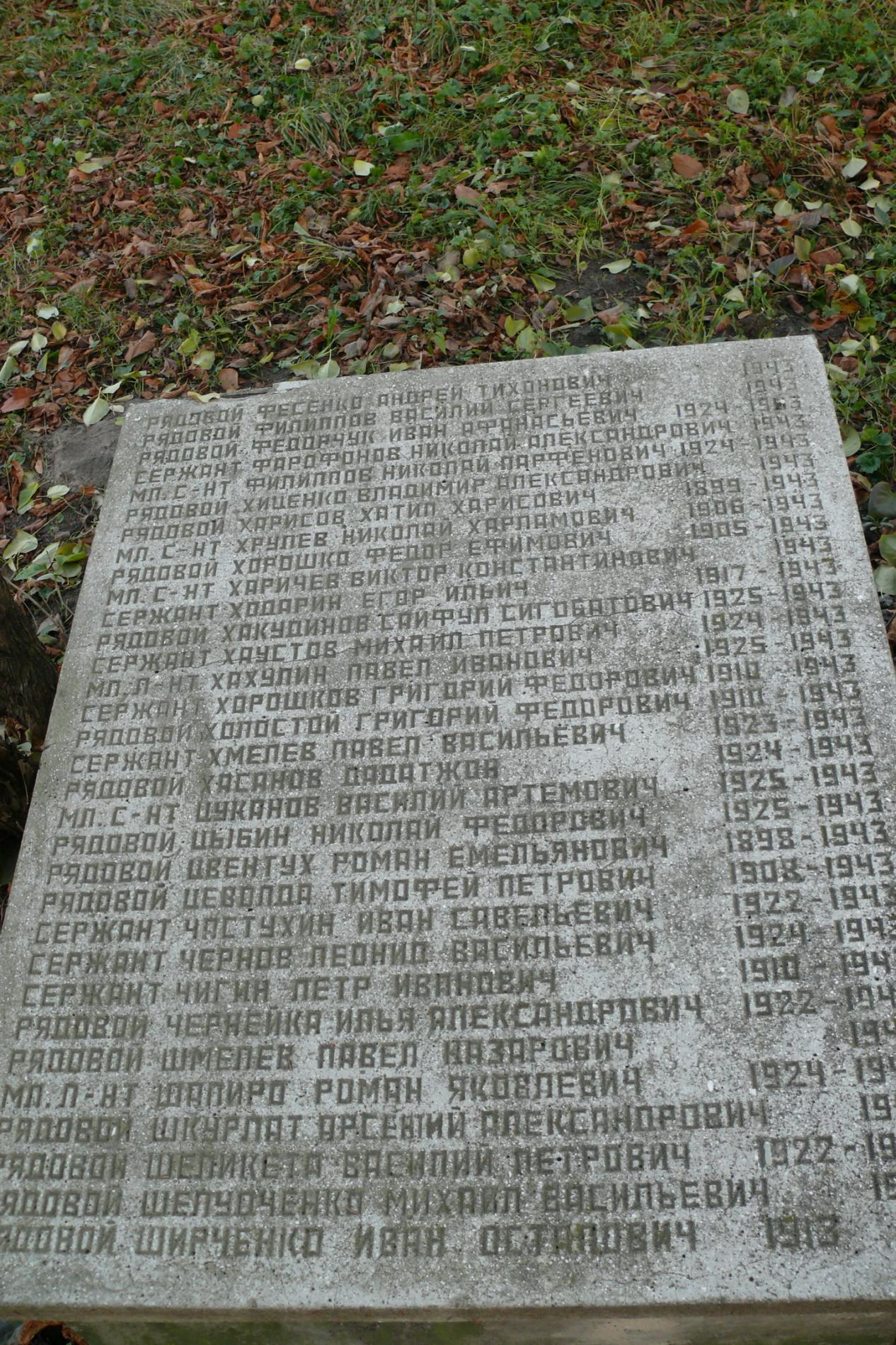 с. Чоповичи, братское воинское захоронение