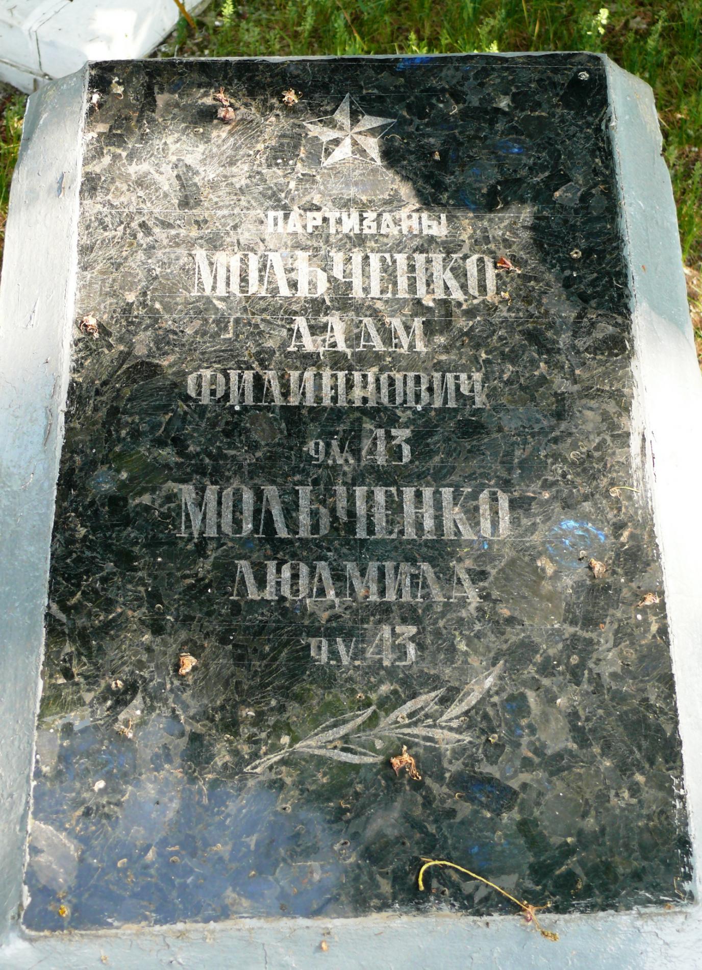 Могила партизан в с. Моровск Козелецкого района