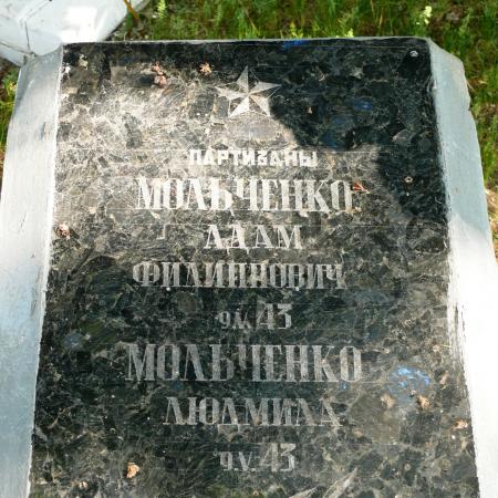 Могила партизан в с. Моровск Козелецкого района