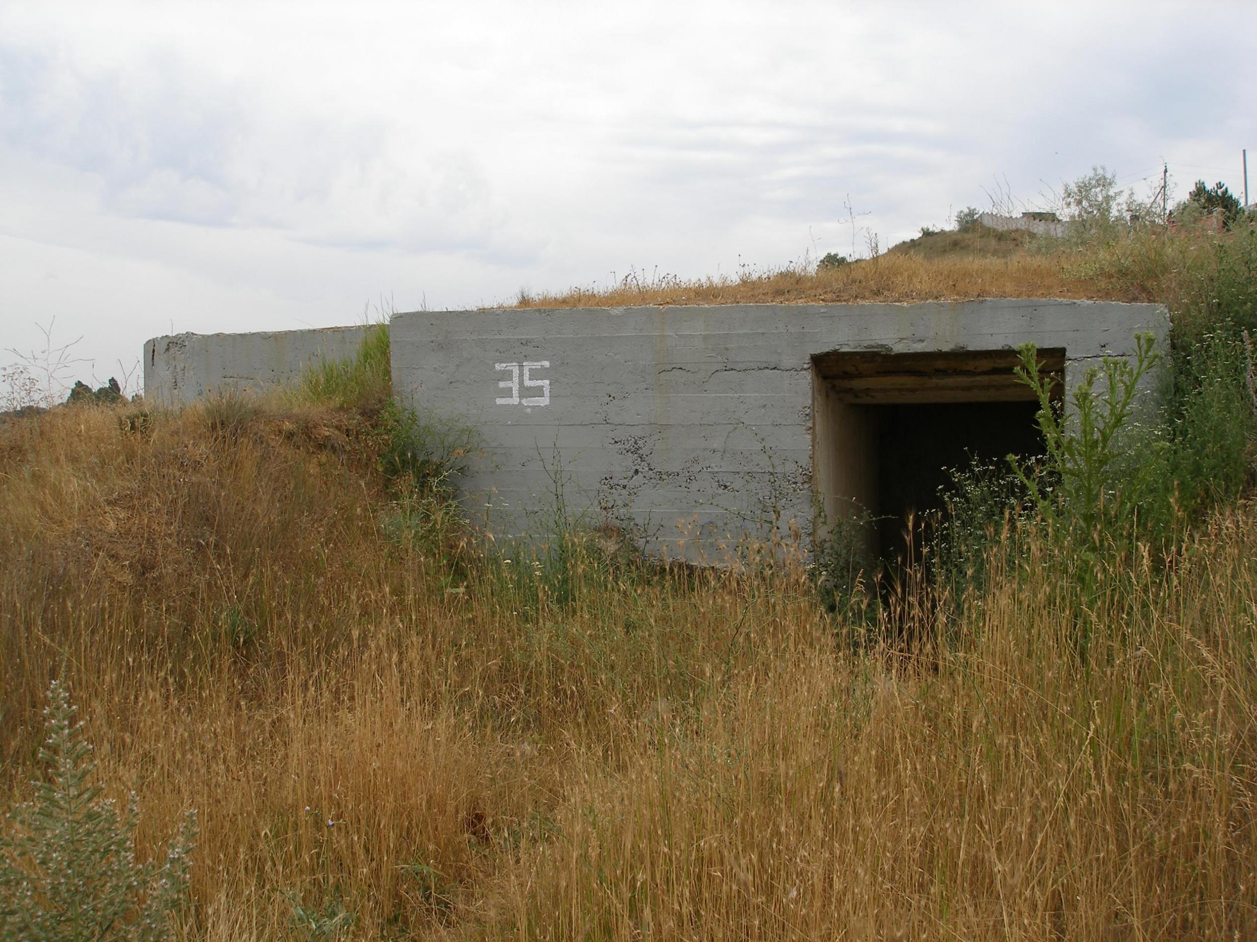 ДОТ №35