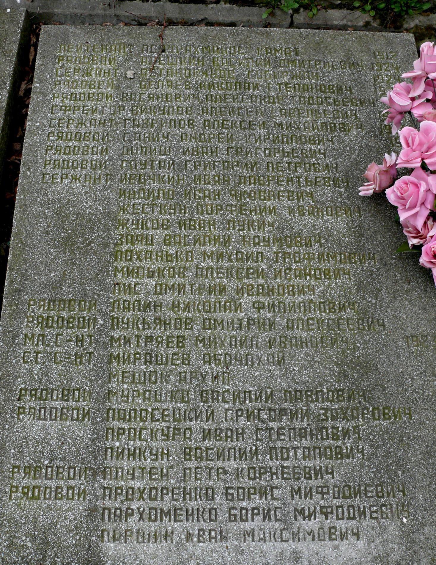 братская могила в с. Мелени Коростенского района