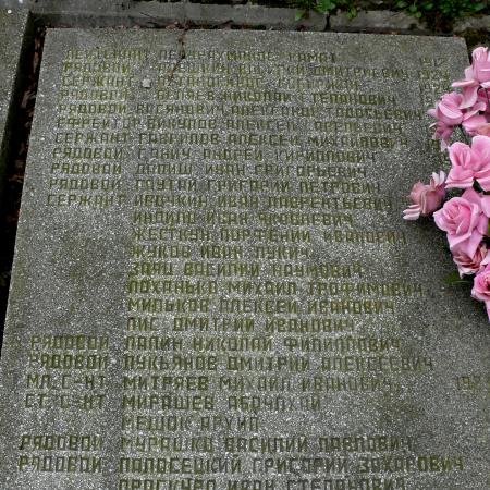 братская могила в с. Мелени Коростенского района