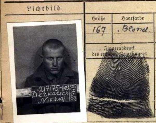 Деркач Николай Семенович