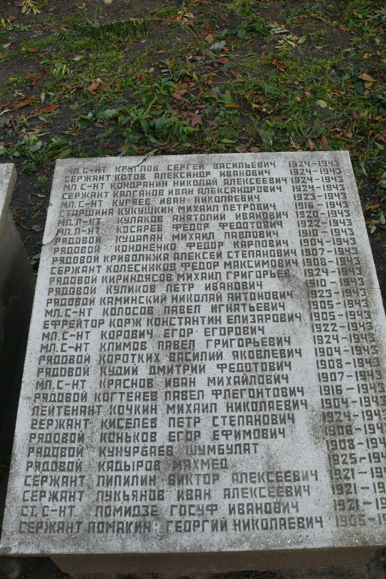 с. Чоповичи, братское воинское захоронение