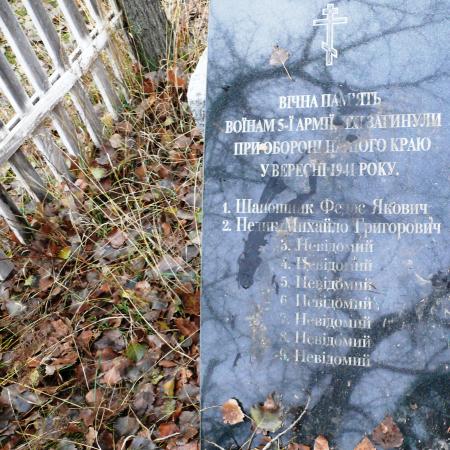 Братская могила в с. Туманская Гута Козелецкого района