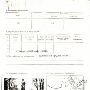 Братская могила в центре с. Плиски Борзнянского района
