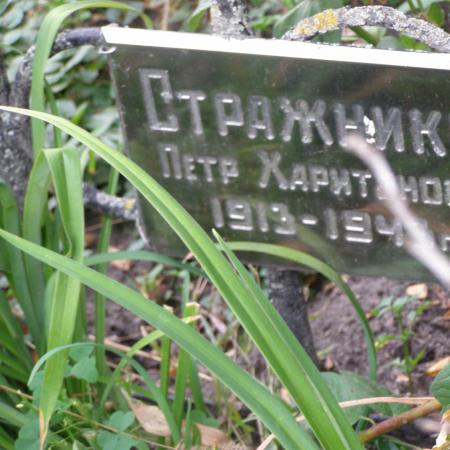 Могила партизан в с. Кобыжча Бобровицкого района