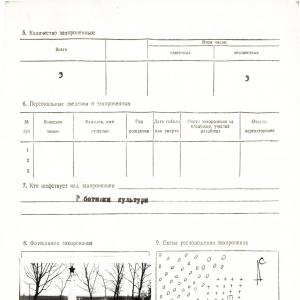 Братская могила в с. Памятное Борзнянского района
