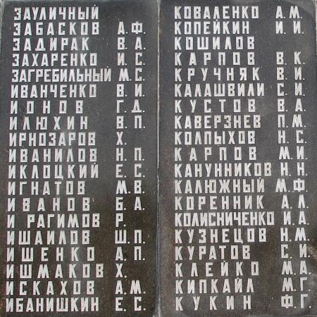Братская могила Воинов ВОВ п. Терновка (Шули)