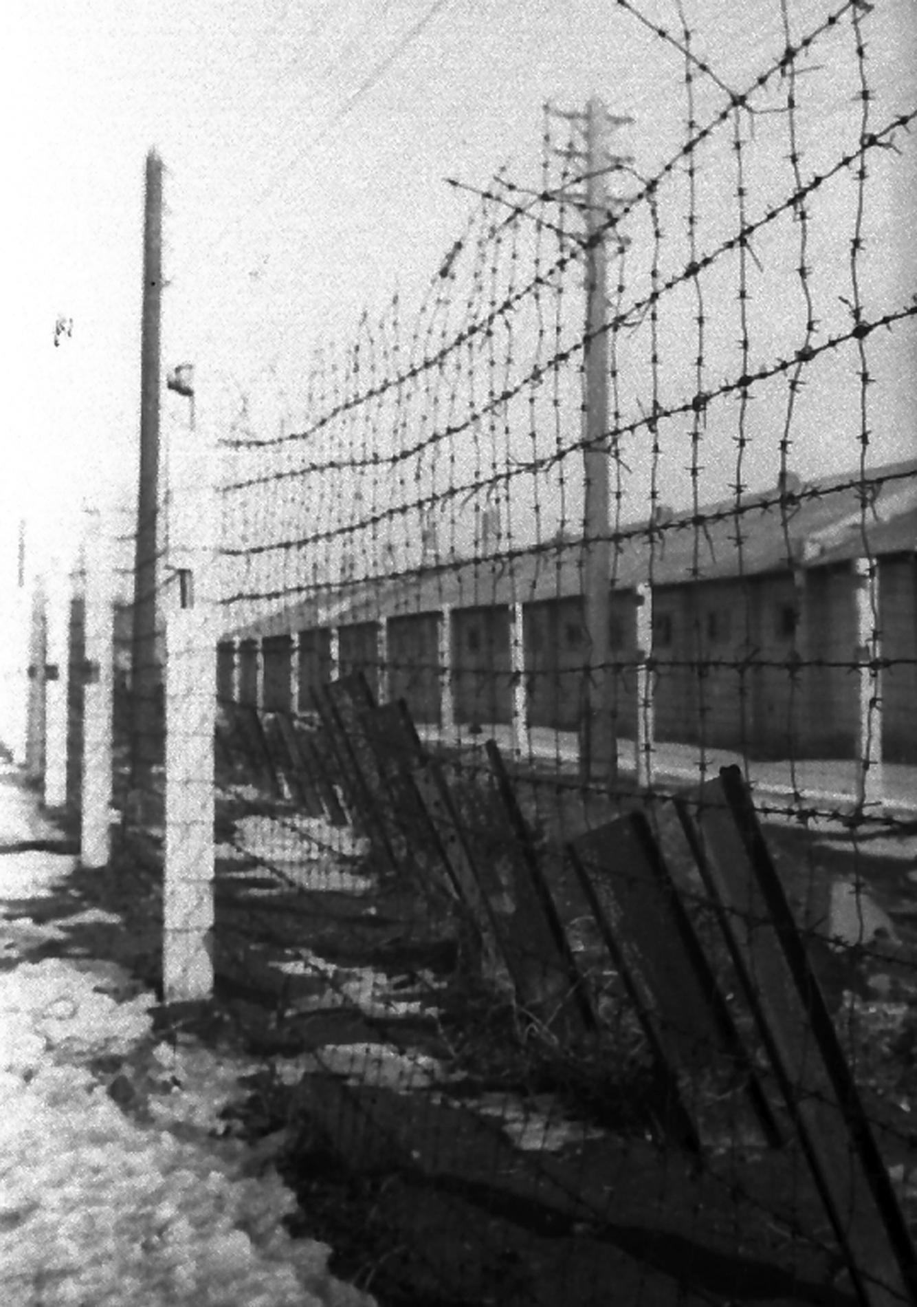 Ростов, февраль 1943 года.