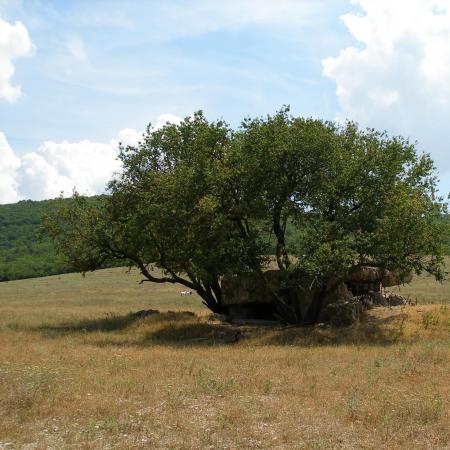 ДОТ № 65 - Передний край линии обороны Севастополя 1941 - 1942 гг.