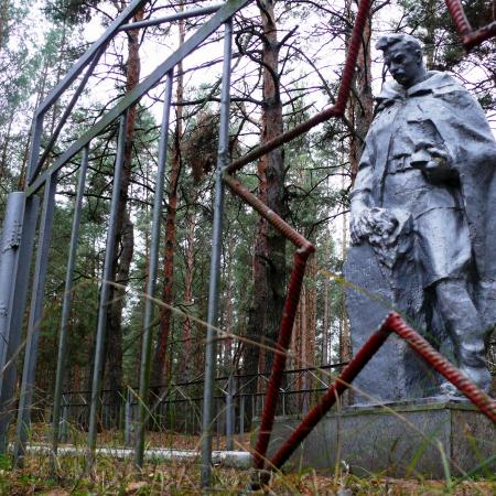 Братская могила в лесу за фермой в с. Низшая Дубечня Вышгородского района