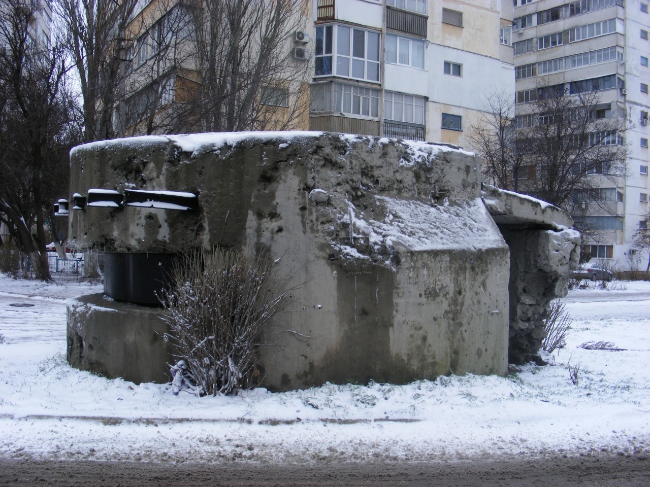 ДОТ №31