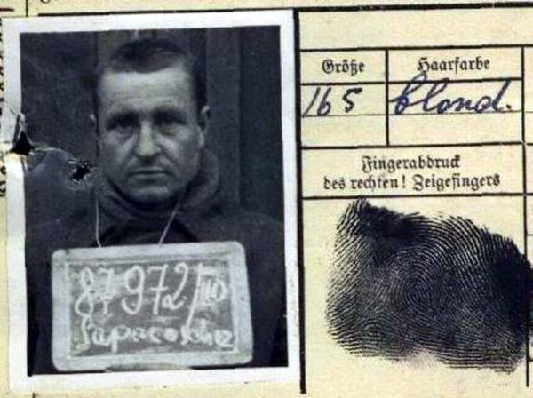 Запорожец Андрей Иванович