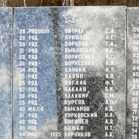 Братская могила на х. Дмитровка (с. Петровское) Вышгородского района