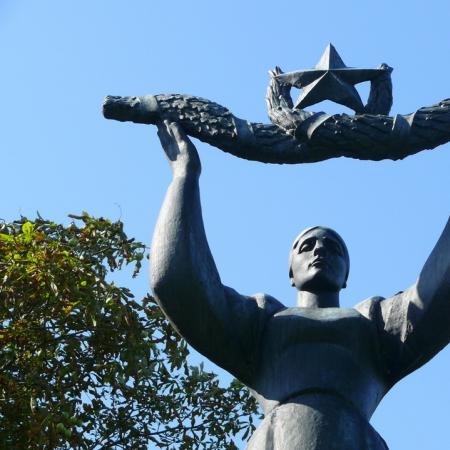 Васильковский район, с. Тростинка