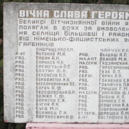 Братская могила в пгт. Большовцы Галицкого района