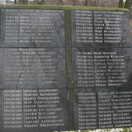 Памятник воинам-односельчанам у школы в с. Низшая Дубечня Вышгородского района