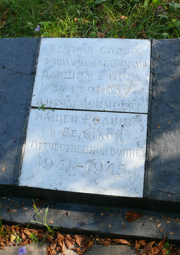 Васильковский район, с. Тростинка