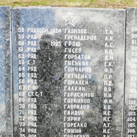 Братская могила на х. Дмитровка (с. Петровское) Вышгородского района