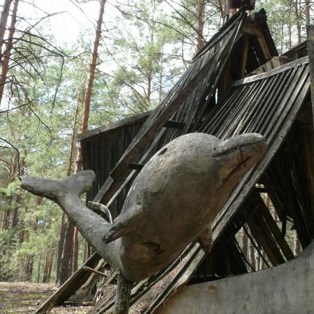 "Сказочный": ладья утопла, дельфин устал