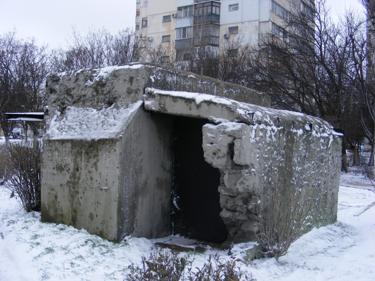 ДОТ №31