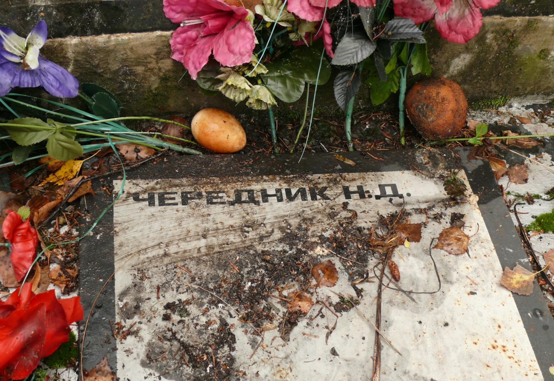 Памятник воинам-землякам в с. Корогод, Чернобыльская зона отчуждения