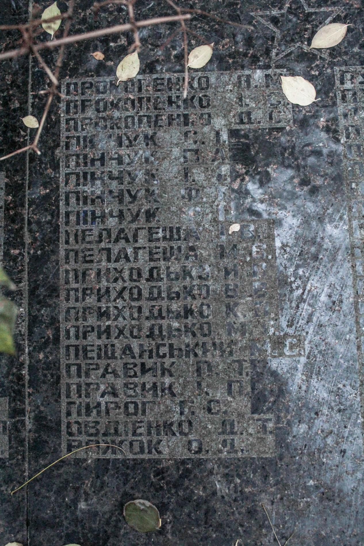 Братская могила в с. Страхолесье Иванковского района