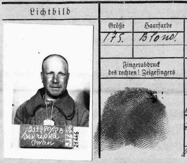 Скрипка Иван Фёдорович