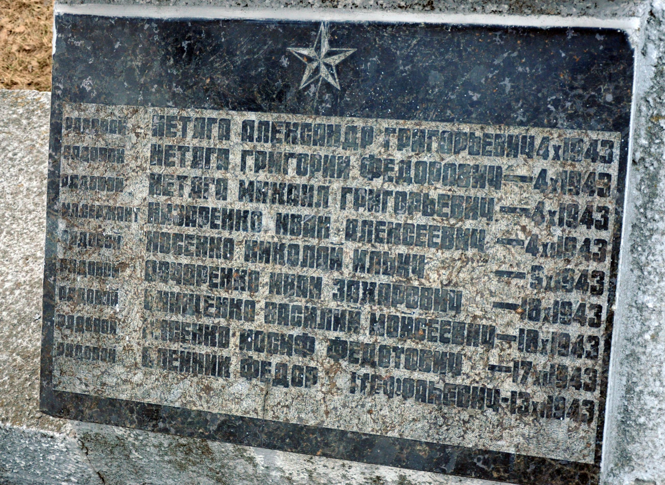 Братская могила в с. Новые Петровцы Вышгородского района